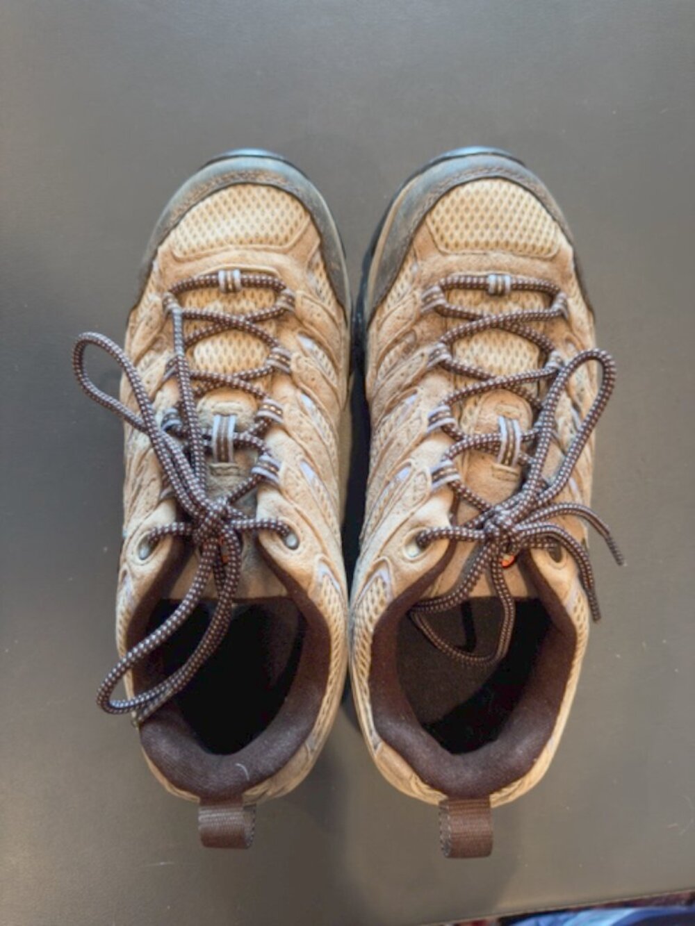 Merrell Women’s Moab 2 Waterproof Hiking Shoe Granite Size 8.5
